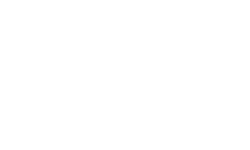 Fidenza Village